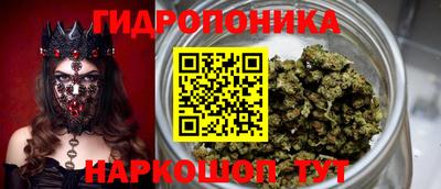 винт Гусь-Хрустальный